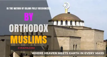 Nation of Islam vs. Orthodox Islam: Recognition and Divergent Beliefs
