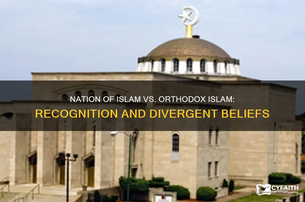 is the nation of islam fully recognized by orthodox muslims