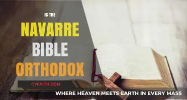 Is the Navarre Bible Orthodox? Exploring Its Theological Alignment