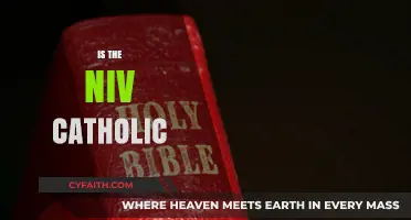 Is the NIV Catholic? Exploring the Bible Translation's Denominational Ties
