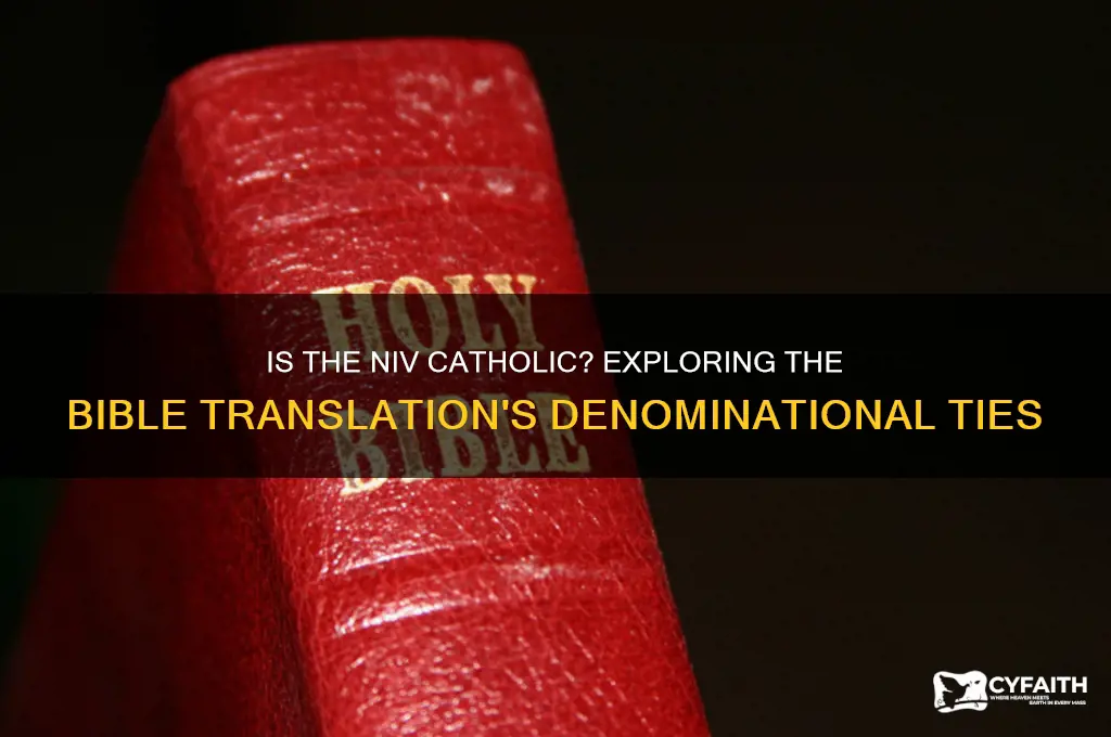 is the niv catholic