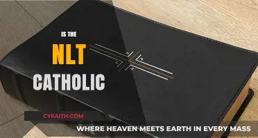 Is the NLT Catholic? Exploring the Translation's Religious Affiliation
