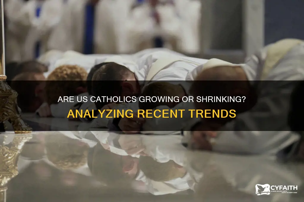 is the number of us catholics growing or shrinking