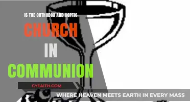 Orthodox and Coptic Churches: Are They in Communion Today?