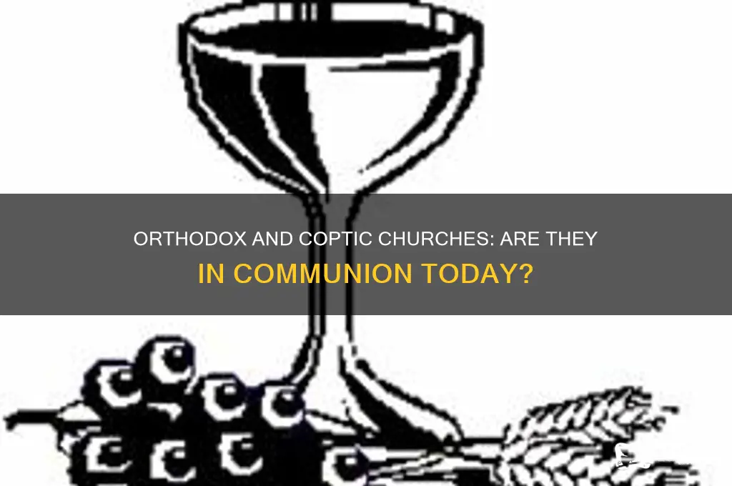 is the orthodox and coptic church in communion