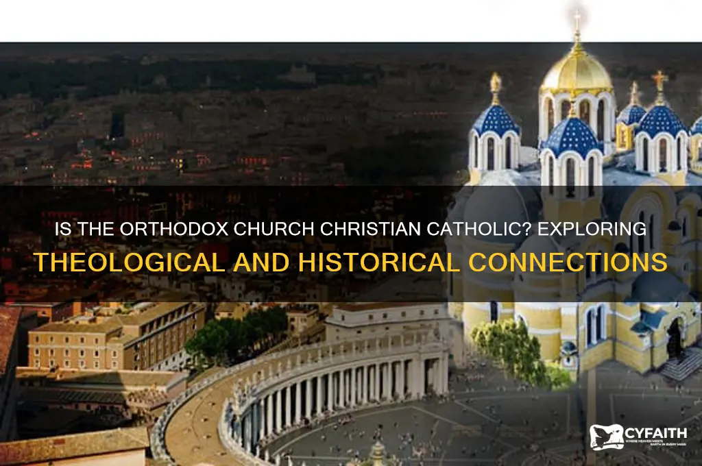 is the orthodox church christian catholoic