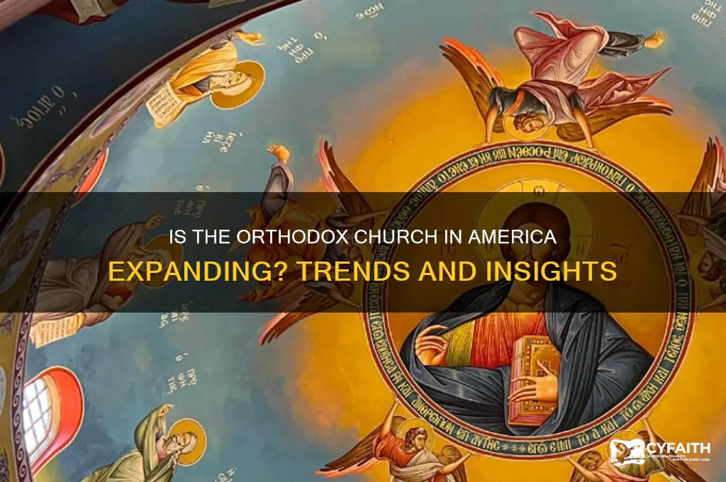 is the orthodox church in america growing