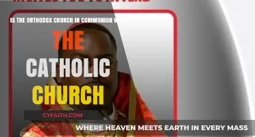 Orthodox and Catholic Churches: United in Communion or Divided?