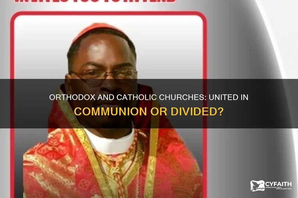 is the orthodox church in communion with the catholic church
