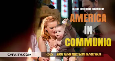Is the Orthodox Church of America in Communion? Exploring Unity