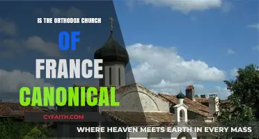 Is the Orthodox Church of France Canonically Recognized?