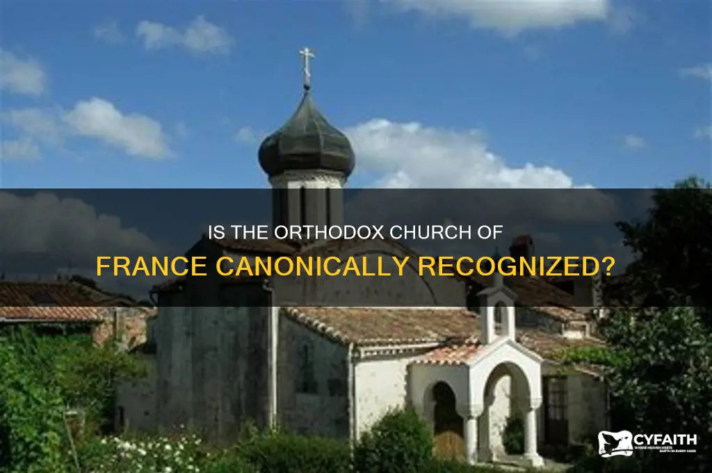 is the orthodox church of france canonical