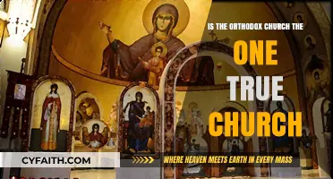 Is the Orthodox Church the One True Church?