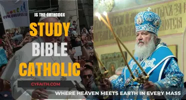 Is the Orthodox Study Bible Catholic? Exploring Theological Differences