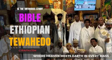Exploring the Orthodox Study Bible: Ethiopian Tewahedo Tradition Unveiled