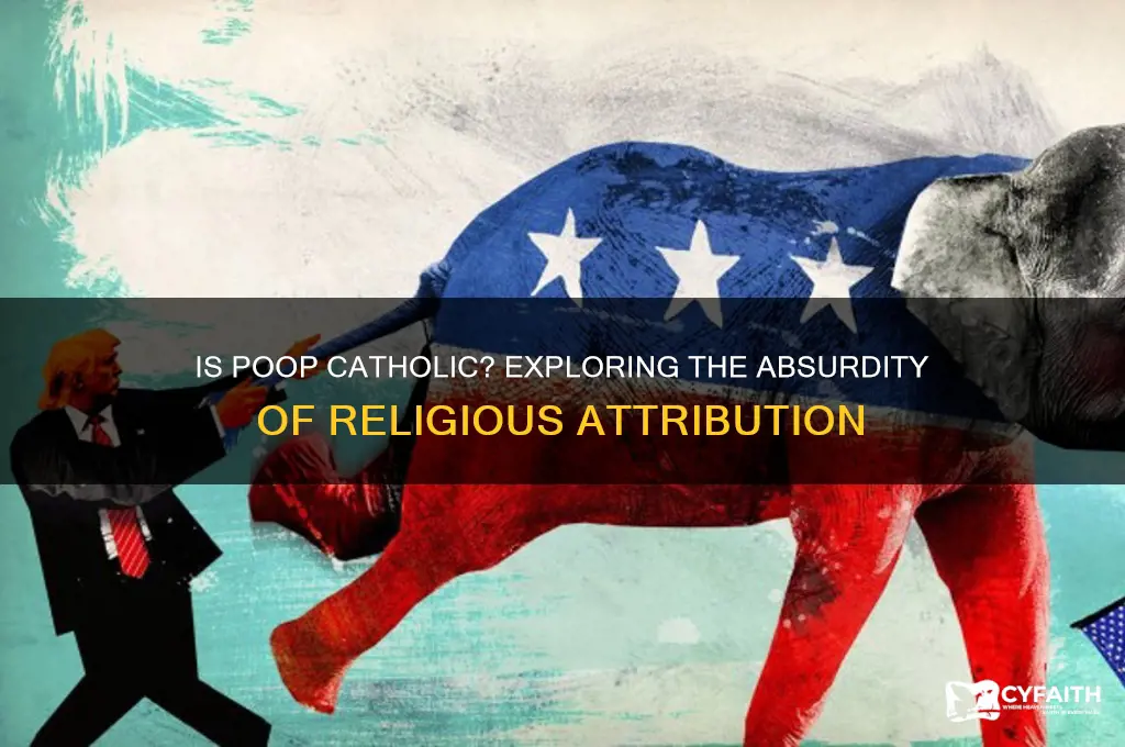 is the poop catholic