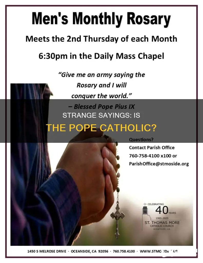 is the pope a catholic and other sayings