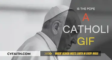 Is the Pope Catholic? A Gif Guide