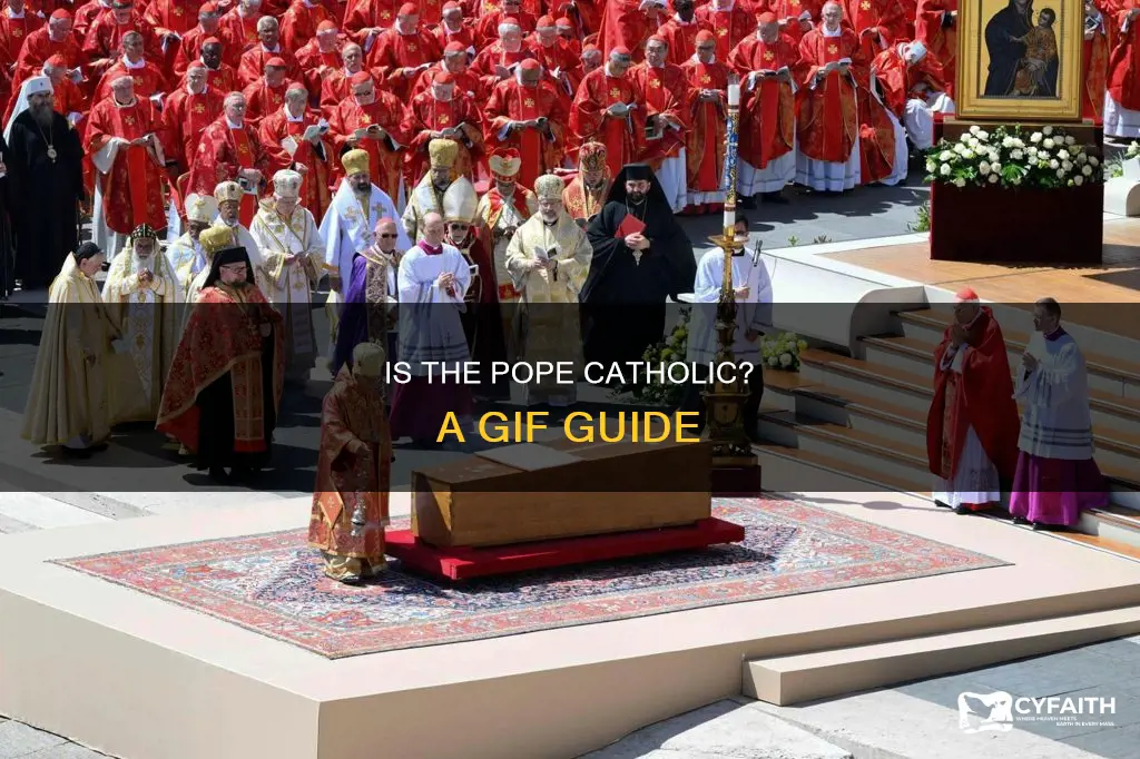 is the pope a catholic gif