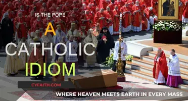 The Pope's Religion: Understanding a Common Idiom