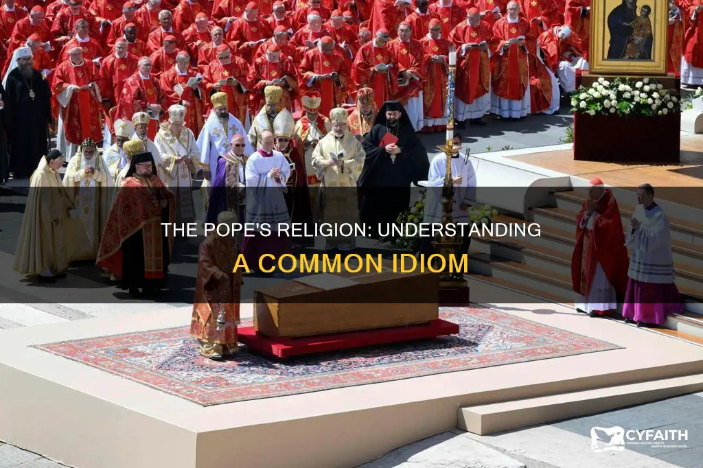 is the pope a catholic idiom