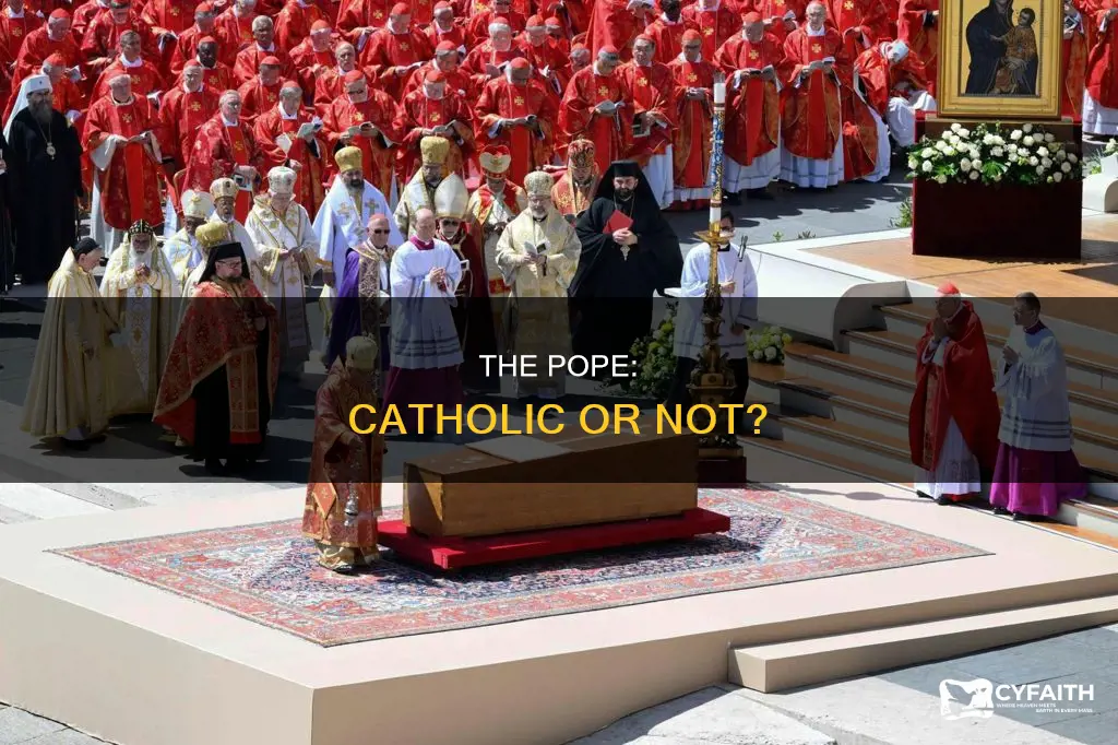 is the pope a catholic qi