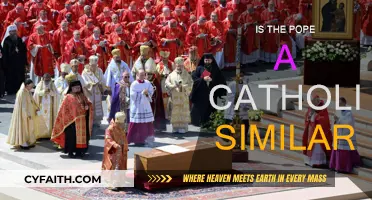 Is the Pope Catholic? Answering the Similar Question