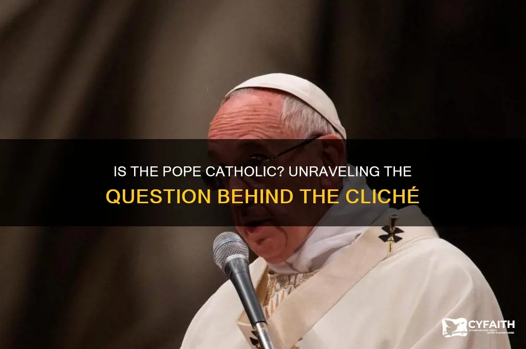 is the pope a catholic