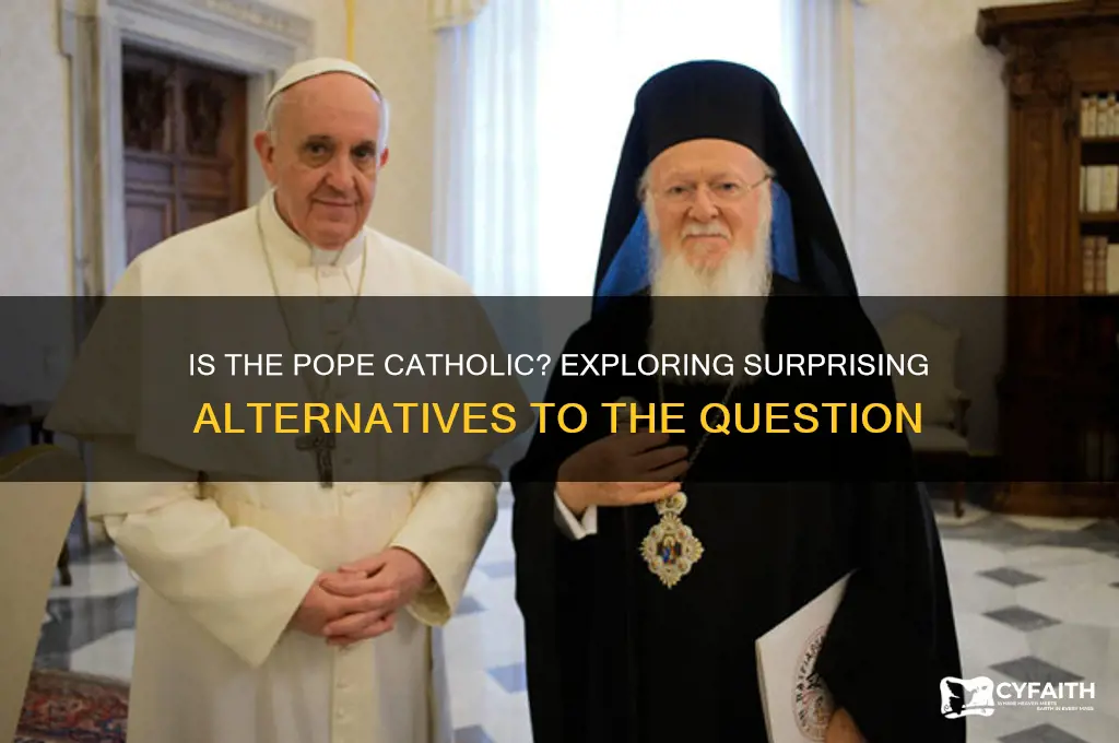 is the pope catholic alternatives