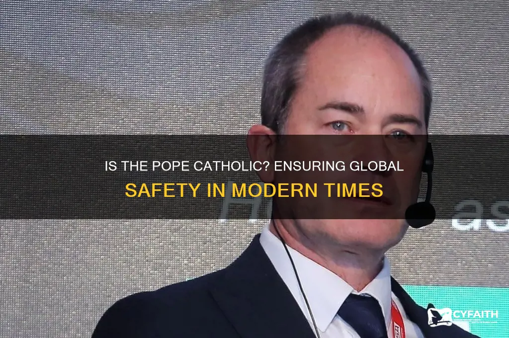 is the pope catholic and making the world safe