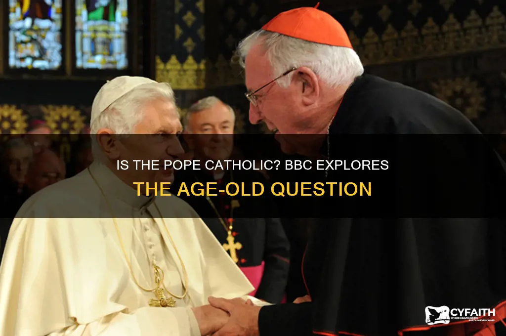 is the pope catholic bbc
