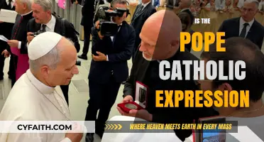 Is the Pope Catholic?" Unraveling the Origins and Meanings of a Classic Expressio