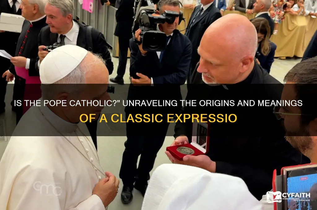 is the pope catholic expression