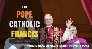 Is Pope Francis Catholic? Exploring the Faith of the Pontiff