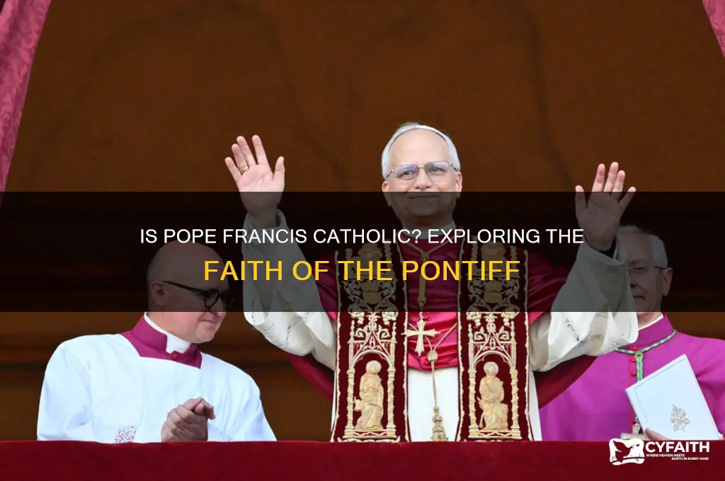 is the pope catholic francis