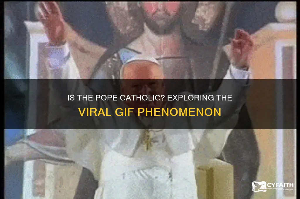 is the pope catholic gif