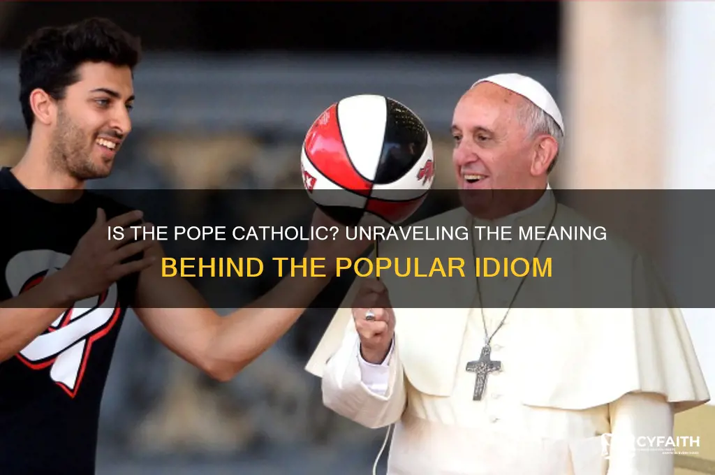 is the pope catholic idiom