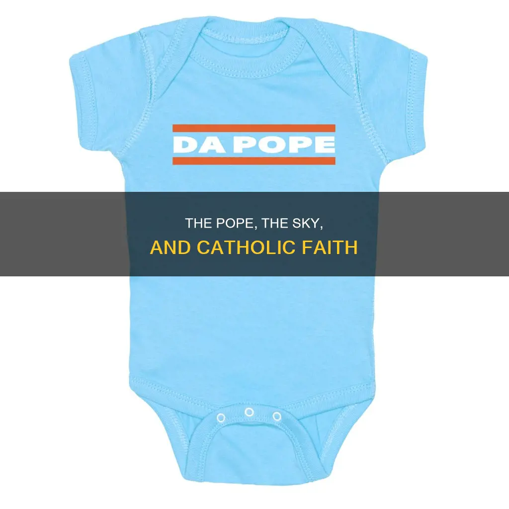 is the pope catholic is the sky blue
