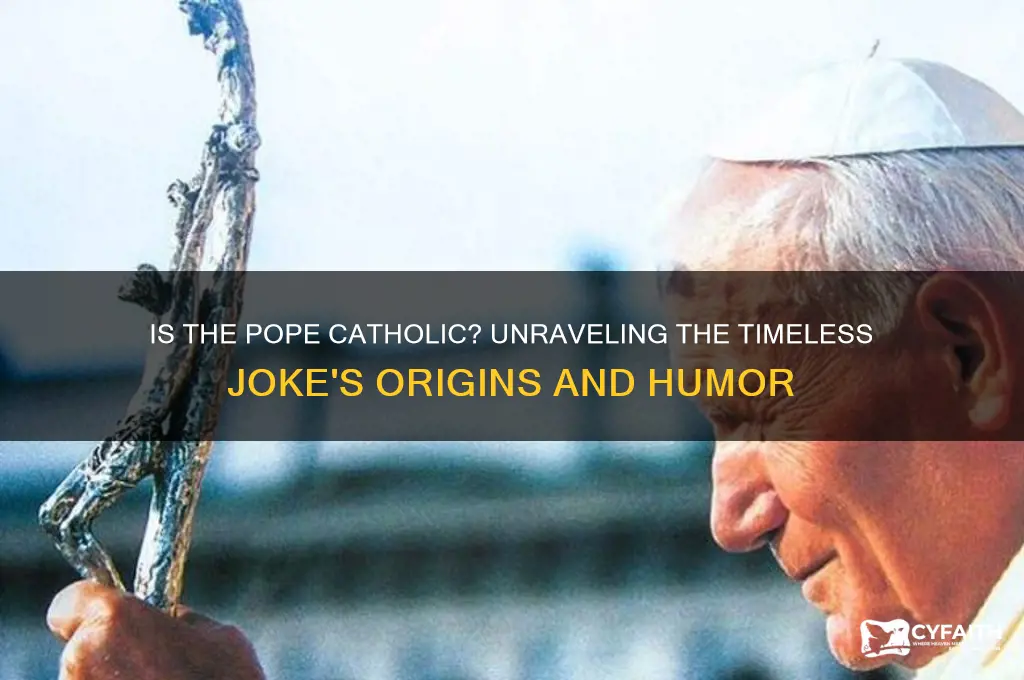 is the pope catholic joke