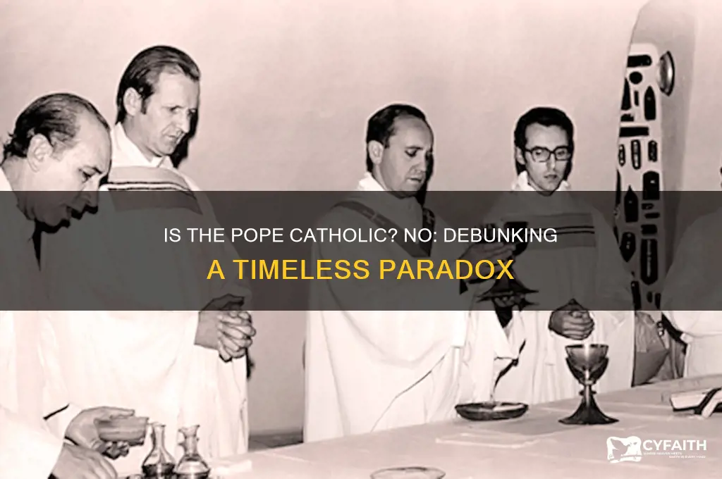 is the pope catholic no