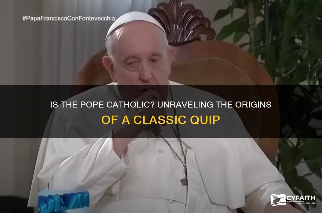 is the pope catholic origin