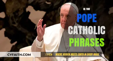 Is the Pope Catholic? Unraveling the Origins and Uses of This Classic Phrase