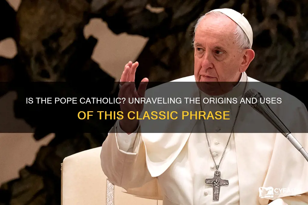 is the pope catholic phrases