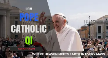 Is the Pope Catholic? Unraveling the QI Debate and Its Origins