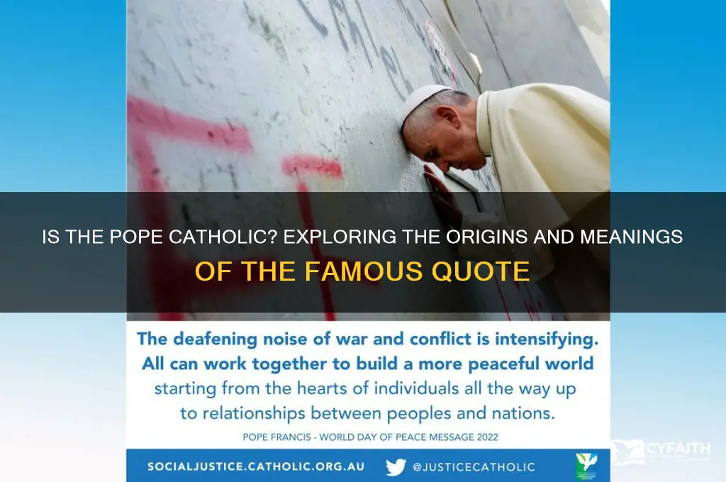 is the pope catholic quotes