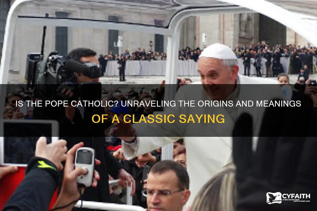 is the pope catholic sayings