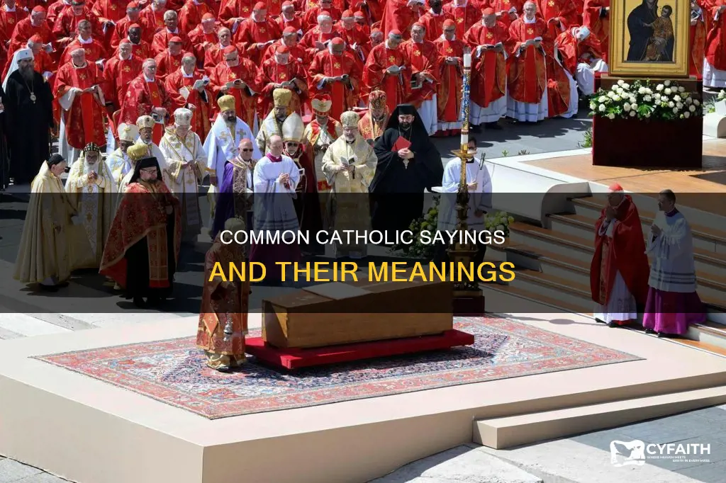 is the pope catholic similar phrases