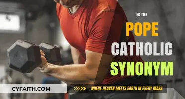 Is the Pope Catholic?" Unraveling the Synonym Mystery and Its Origin