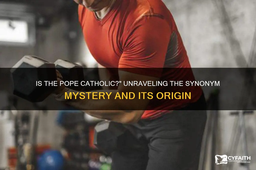 is the pope catholic synonym