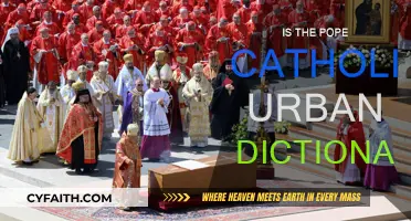 Catholic Pope: Urban Dictionary's Definition